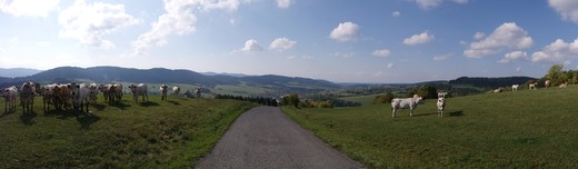 tarabkovo2.jpg