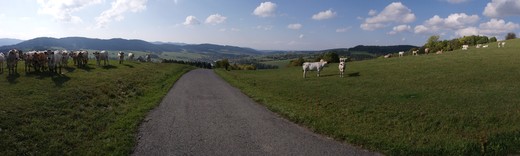 tarabkovo3.jpg